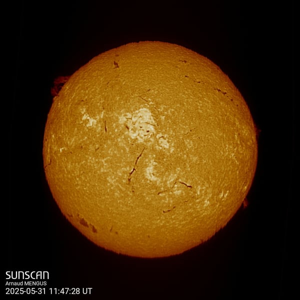 Sunscan H-Alpha 31 mai 2025 à La Meyze